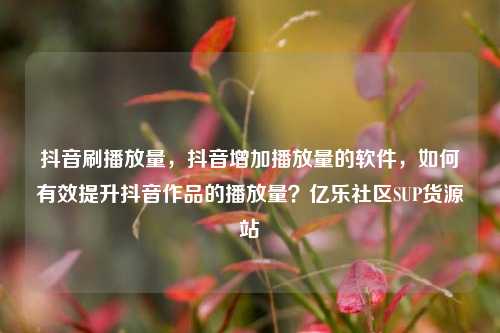 抖音刷播放量，抖音增加播放量的软件，如何有效提升抖音作品的播放量？亿乐社区SUP货源站  第1张