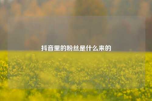 抖音里的粉丝是什么来的  第1张
