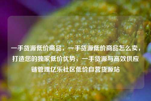 一手货源低价商品，一手货源低价商品怎么卖	，打造您的独家低价优势，一手货源与高效供应链管理亿乐社区低价自营货源站  第1张
