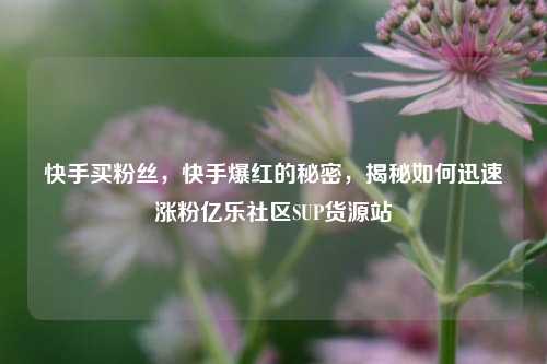 快手买粉丝	，快手爆红的秘密，揭秘如何迅速涨粉亿乐社区SUP货源站  第1张