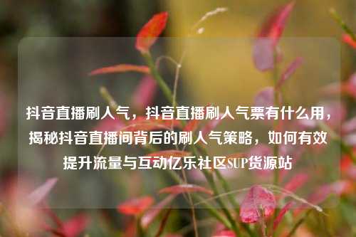 抖音直播刷人气	，抖音直播刷人气票有什么用，揭秘抖音直播间背后的刷人气策略，如何有效提升流量与互动亿乐社区SUP货源站  第1张