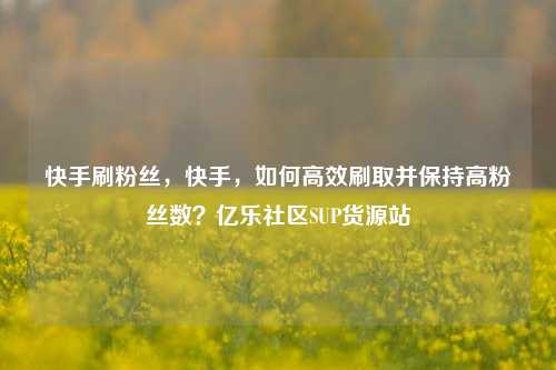 快手刷粉丝，快手，如何高效刷取并保持高粉丝数？亿乐社区SUP货源站  第1张