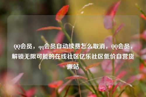 QQ会员，qq会员自动续费怎么取消	，QQ会员，解锁无限可能的在线社区亿乐社区低价自营货源站  第1张