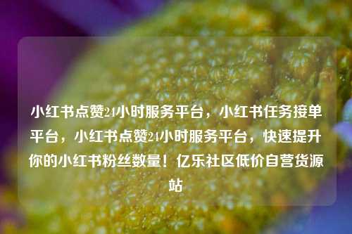 小红书点赞24小时服务平台，小红书任务接单平台，小红书点赞24小时服务平台	，快速提升你的小红书粉丝数量！亿乐社区低价自营货源站  第1张