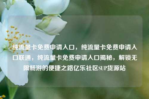 纯流量卡免费申请入口，纯流量卡免费申请入口联通	，纯流量卡免费申请入口揭秘，解锁无限畅游的便捷之路亿乐社区SUP货源站  第1张