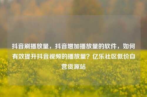 抖音刷播放量，抖音增加播放量的软件，如何有效提升抖音视频的播放量？亿乐社区低价自营货源站  第1张