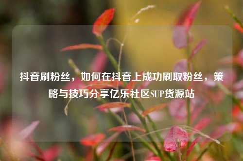 抖音刷粉丝	，如何在抖音上成功刷取粉丝，策略与技巧分享亿乐社区SUP货源站  第1张