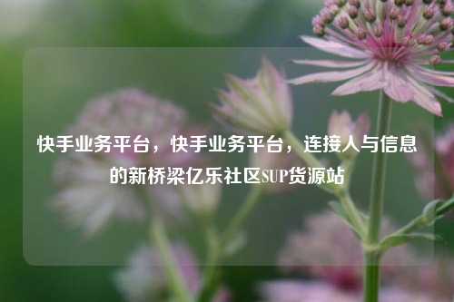 快手业务平台	，快手业务平台，连接人与信息的新桥梁亿乐社区SUP货源站  第1张