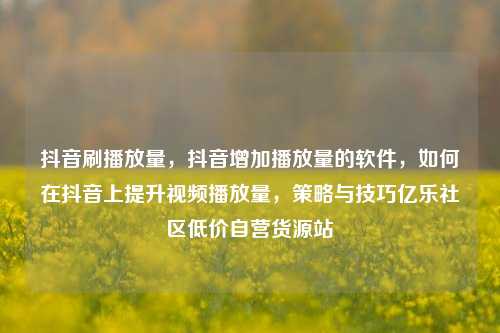 抖音刷播放量	，抖音增加播放量的软件，如何在抖音上提升视频播放量，策略与技巧亿乐社区低价自营货源站  第1张