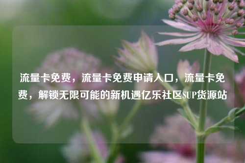 流量卡免费，流量卡免费申请入口	，流量卡免费，解锁无限可能的新机遇亿乐社区SUP货源站  第1张