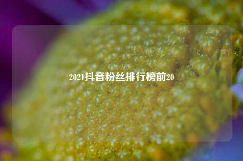 2021抖音粉丝排行榜前20  第1张