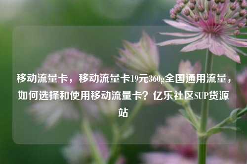 移动流量卡	，移动流量卡19元360g全国通用流量，如何选择和使用移动流量卡？亿乐社区SUP货源站  第1张