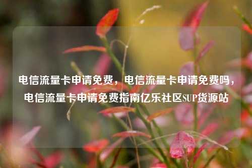 电信流量卡申请免费，电信流量卡申请免费吗，电信流量卡申请免费指南亿乐社区SUP货源站  第1张