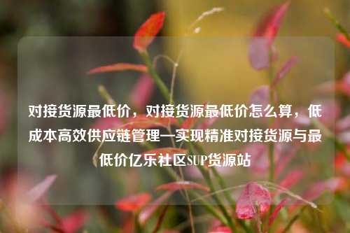 对接货源最低价，对接货源最低价怎么算	，低成本高效供应链管理—实现精准对接货源与最低价亿乐社区SUP货源站  第1张